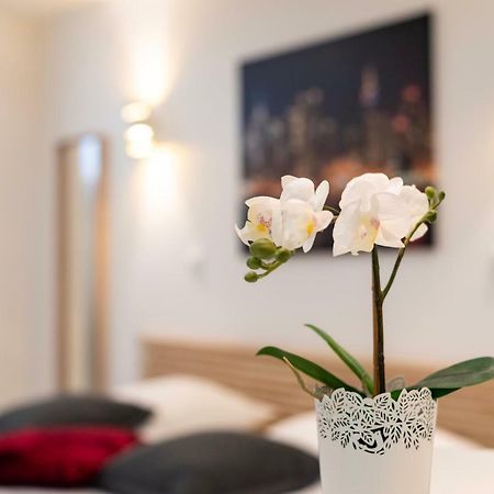 Citycosy Strasbourg - Studio Hirtz Orangerie 외부 사진