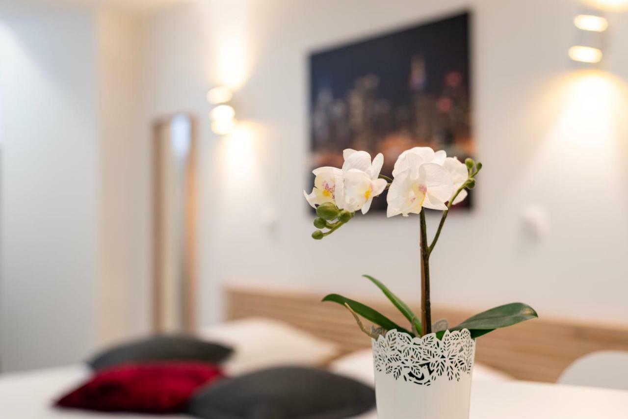Citycosy Strasbourg - Studio Hirtz Orangerie 외부 사진
